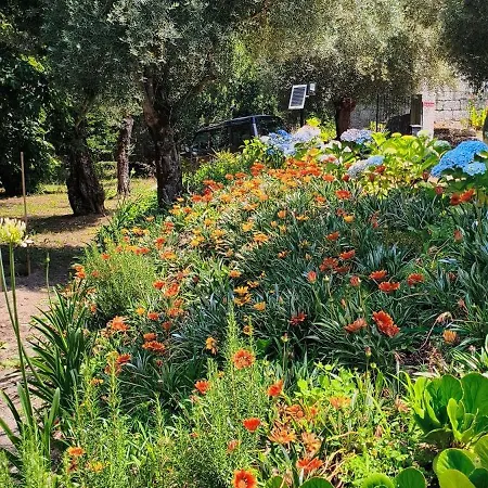 Casa Nova Oliveiras 펜션 *