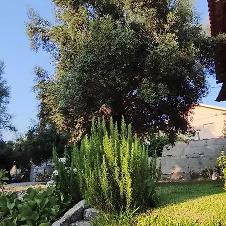 Casa Nova Oliveiras Prázdninový dům Verim, Friande e Ajude