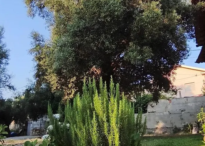 Casa Nova Oliveiras * Брага