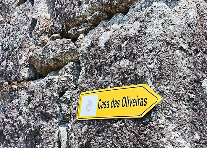 Casa Nova Oliveiras 브라가