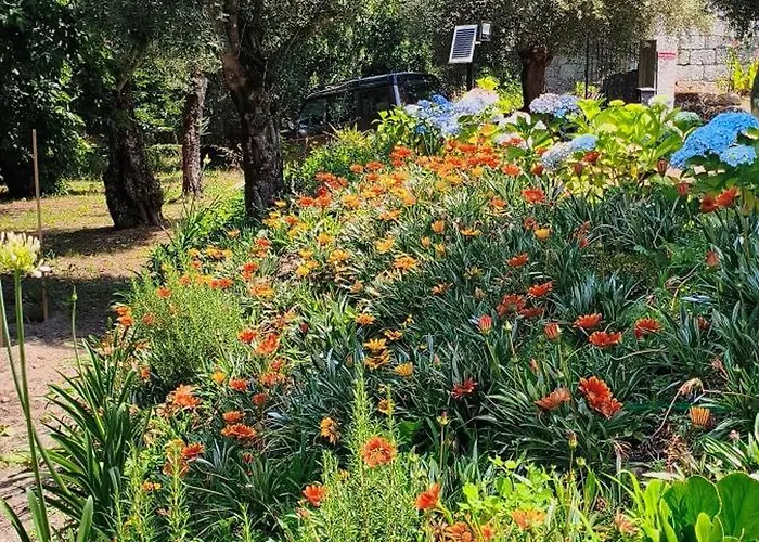 Casa Nova Oliveiras 펜션 *